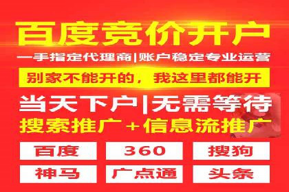 竞价SEM在旅游行业的应用案例分析