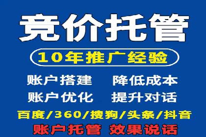 某行业SEM竞价策略的运营实践与效果